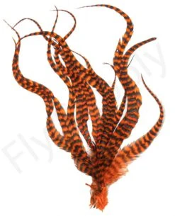 Whiting Grizzly Schlappen Feathers Long 8 Whiting Grizzly Schlappen Feathers Long -Visserijmeesterwinkel Whiting Grizzly Schlappen Feathers Long WHIT SCHLAPBUND grizzly orange