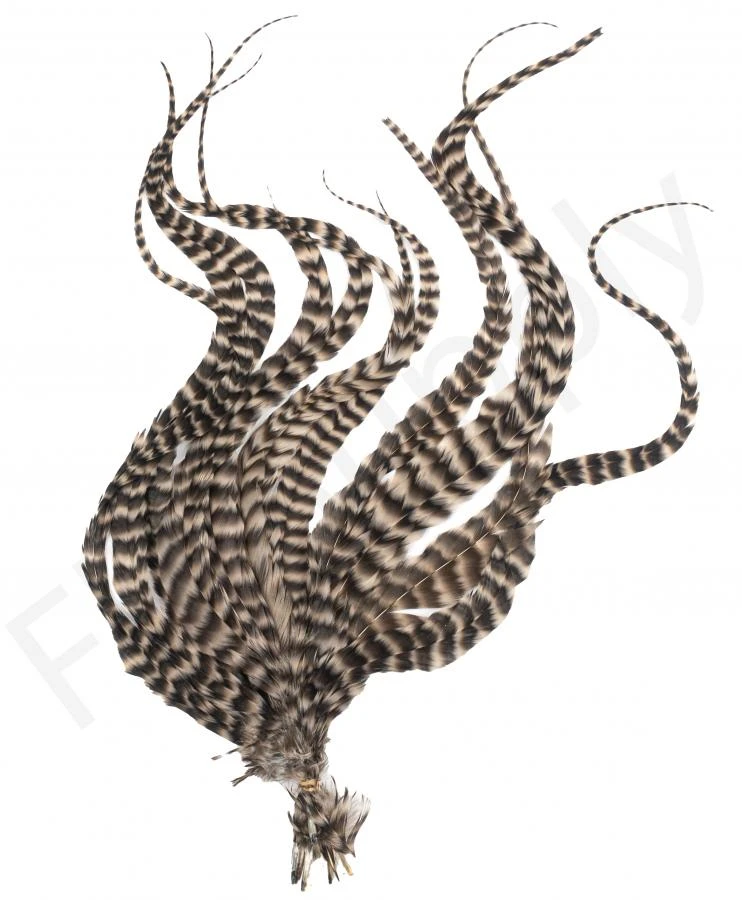 Whiting Grizzly Schlappen Feathers Long 5 Whiting Grizzly Schlappen Feathers Long - Afbeelding 5