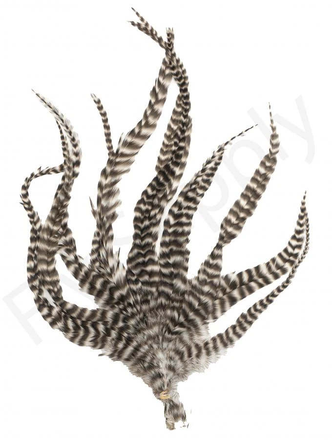 Whiting Grizzly Schlappen Feathers Long 2 Whiting Grizzly Schlappen Feathers Long - Afbeelding 2