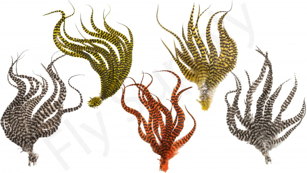 Whiting Grizzly Schlappen Feathers Long 1 Whiting Grizzly Schlappen Feathers Long