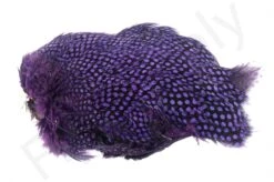 Whiting Guinea Fowl Breast -Visserijmeesterwinkel Whiting Guinea Fowl Breast WH28833 XXX dsc09904