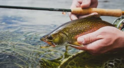 Winston Air 2 Fly Rod -Visserijmeesterwinkel Winston Air2 Fly Rod AIR2ROD XXX naamloo1s