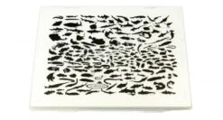 Vision Slim Magnum 12 Row Fish Camo Fly Box -Visserijmeesterwinkel dsc 1639