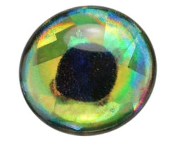 3D Epoxy Fish Eyes Dorado -Visserijmeesterwinkel holographicdorado3depoxy1