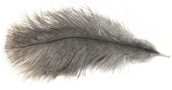 Mini Ostrich Nymph Plumes