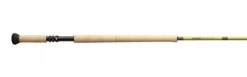 Sage Pulse Switch & Spey 4pc Fly Rod