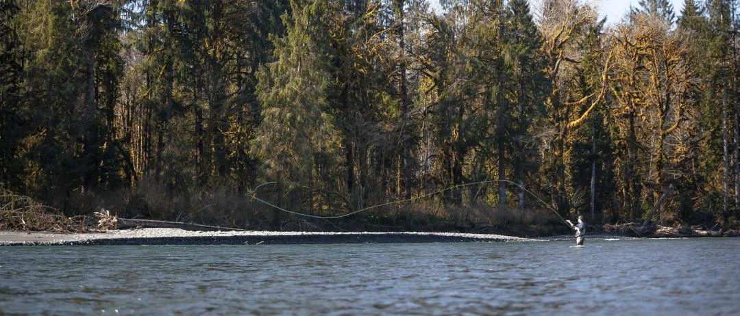 Sage X Switch & Spey 4pc Fly Rod 4 Sage X Switch & Spey 4pc Fly Rod - Afbeelding 4