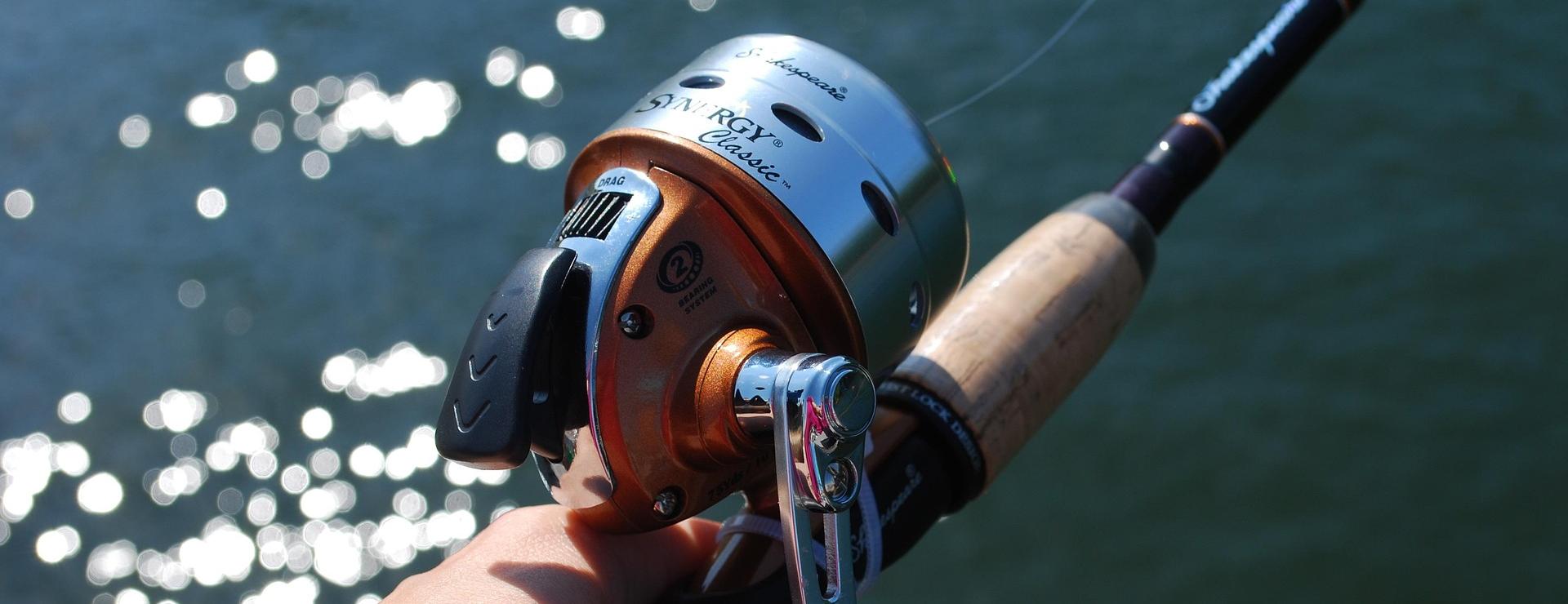 Visserijmeesterwinkel -Visserijmeesterwinkel fishing 454367 1920